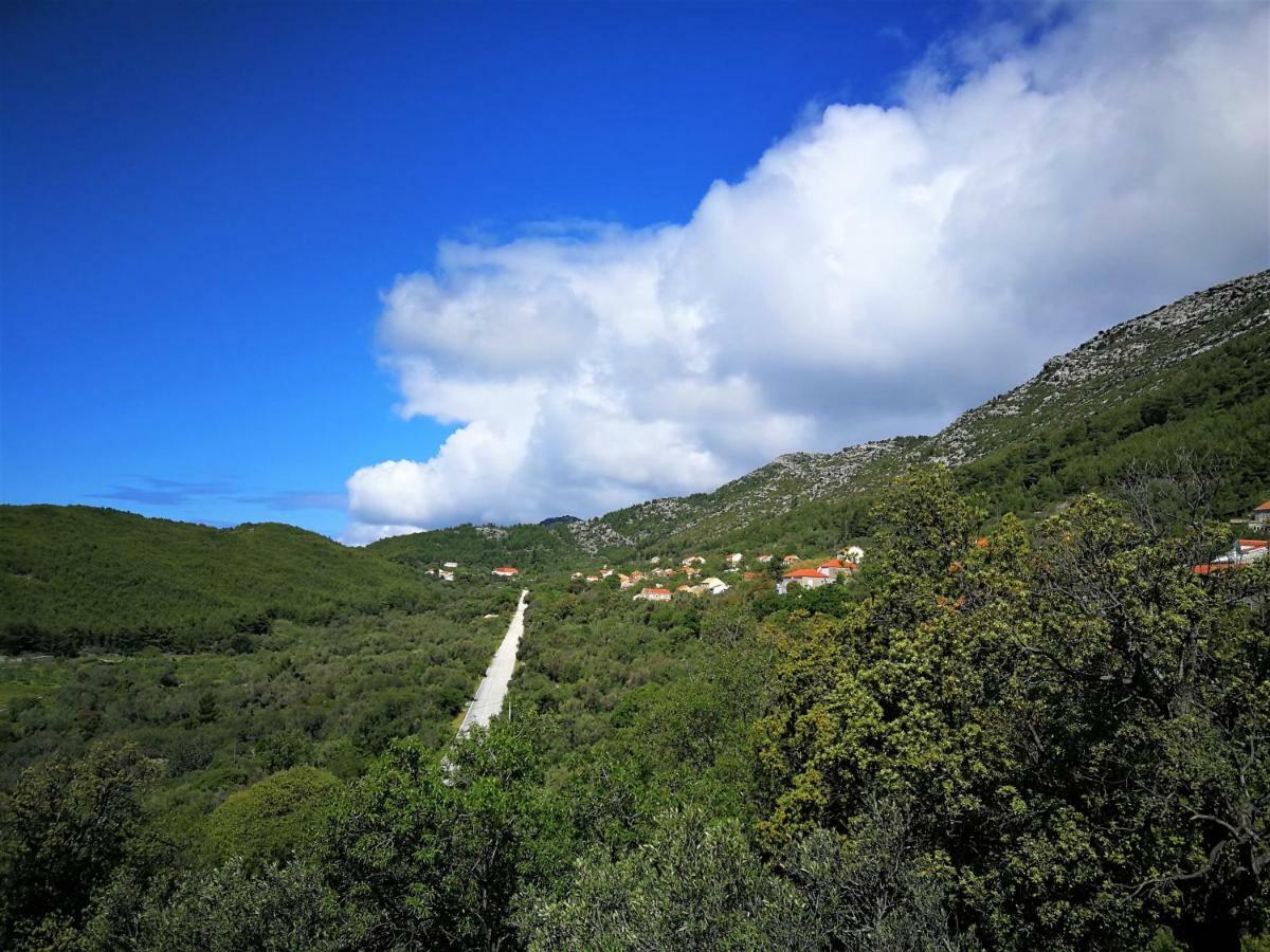 Countryside Vacation House Vitez Babino Polje Esterno foto