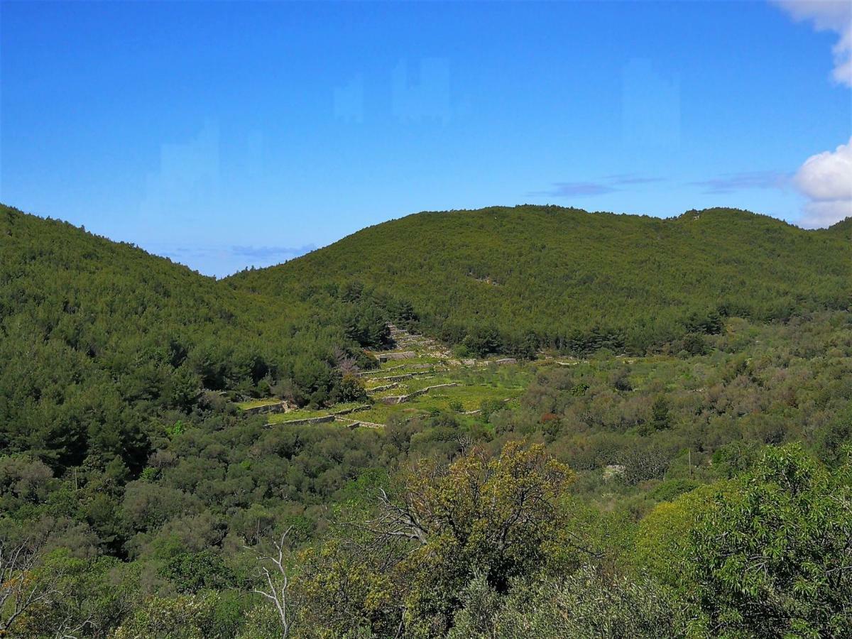 Countryside Vacation House Vitez Babino Polje Esterno foto