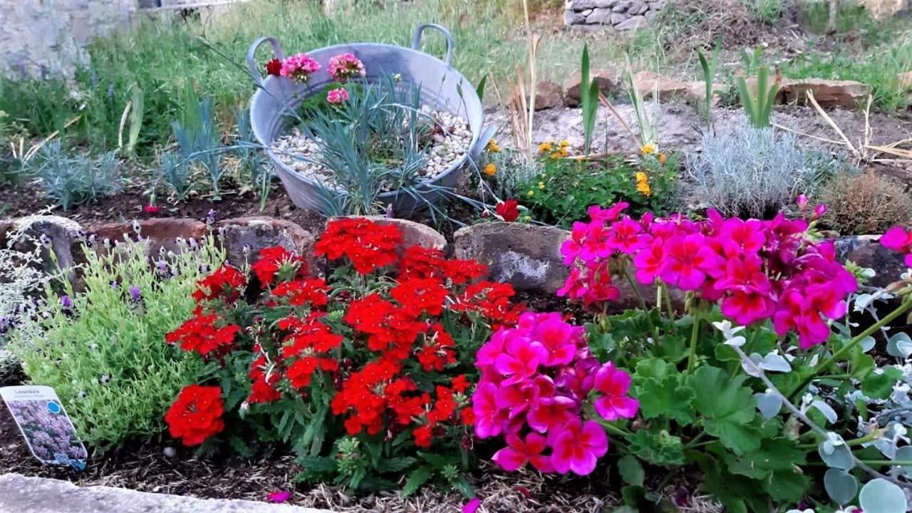Countryside Vacation House Vitez Babino Polje Esterno foto