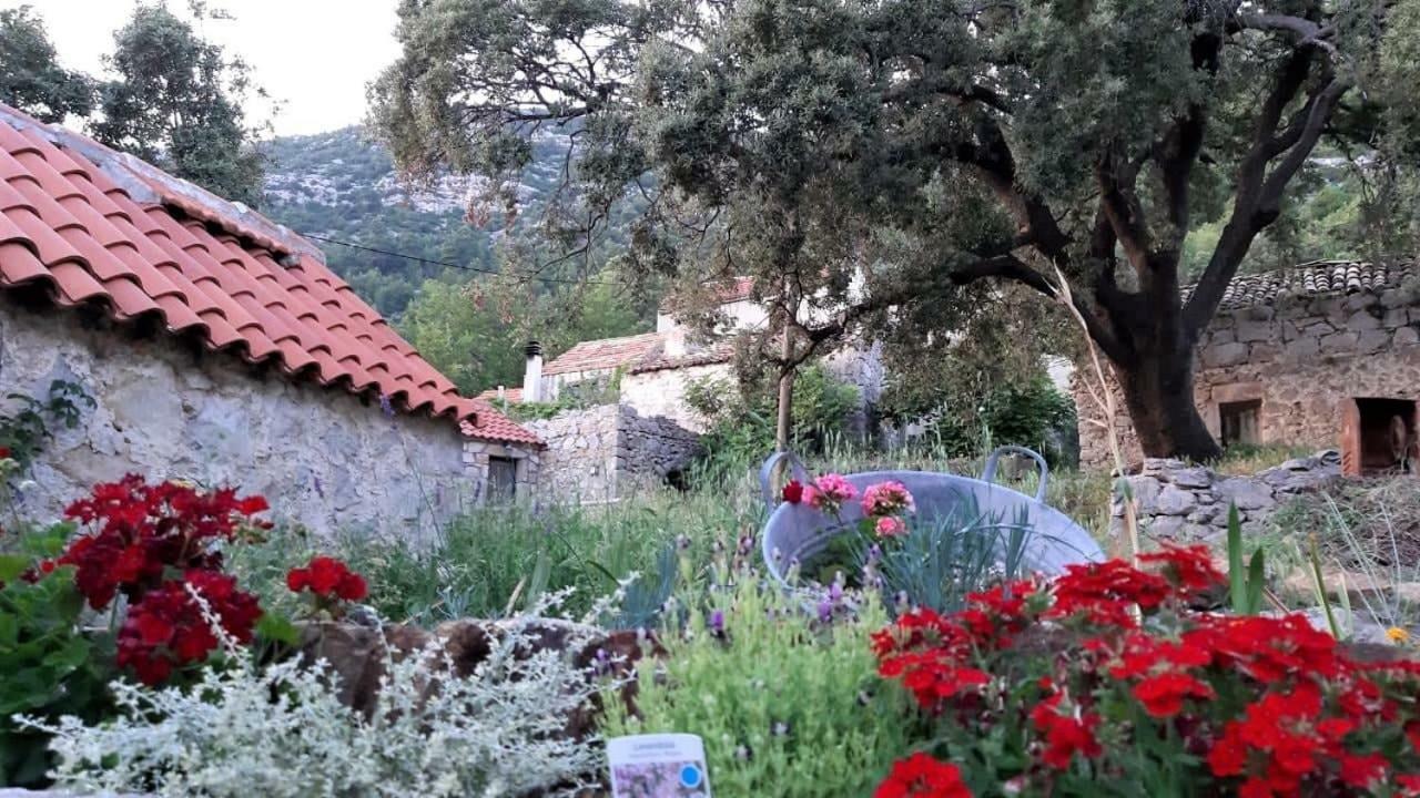 Countryside Vacation House Vitez Babino Polje Esterno foto